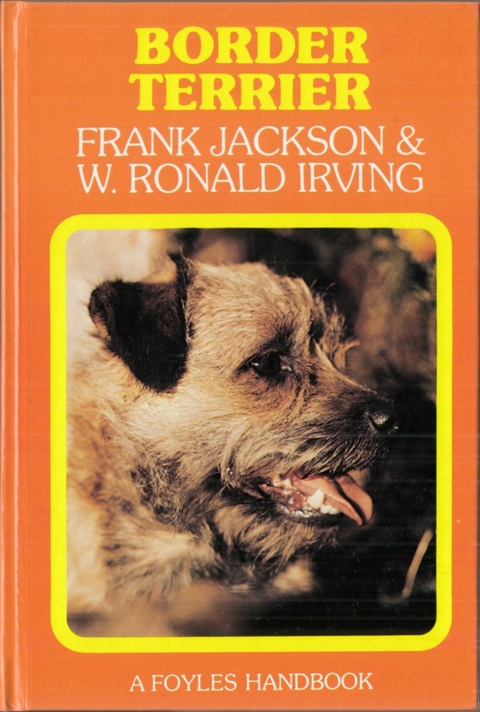 Border Terrier 