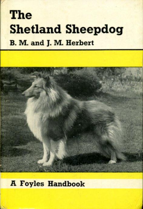 The Shetland Sheepdog