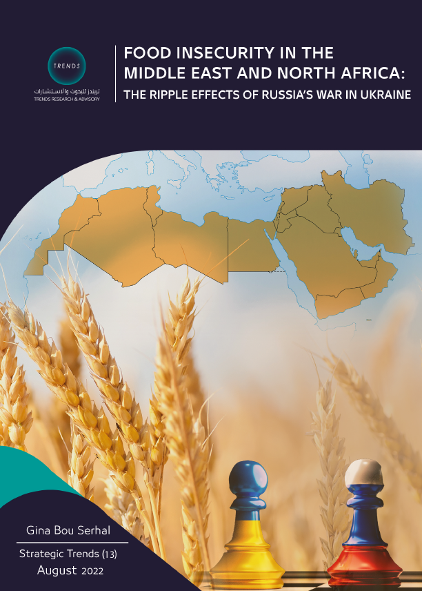 Food insecurity in the Middle East and North Africa: The ripple effects of Russia’s war in Ukraine