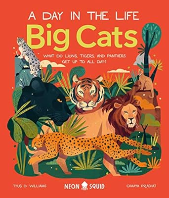 [9781838991548] Big Cats (A Day in the Life): What Do Lions, Tigers and Panthers Get up to All D 