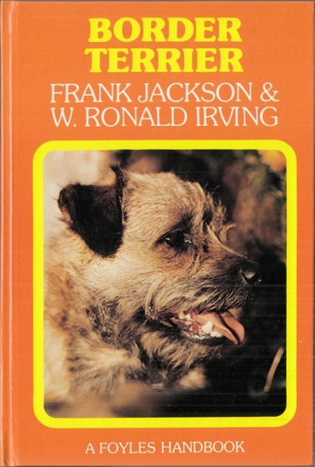 Border Terrier 