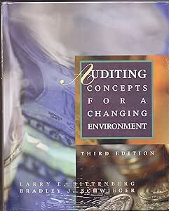 [9790030268778] Auditing Concepts for a Changing Enviroment